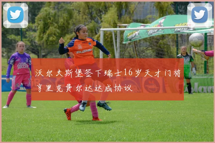 沃尔夫斯堡签下瑞士16岁天才门将亨里克费尔达达成协议